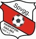 SpVgg Hankofen-Hailing Fussball